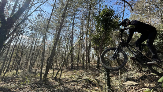 Pedroni Race - Primo Test Bike Enduro Mate by Punto Moto / SCA MTB