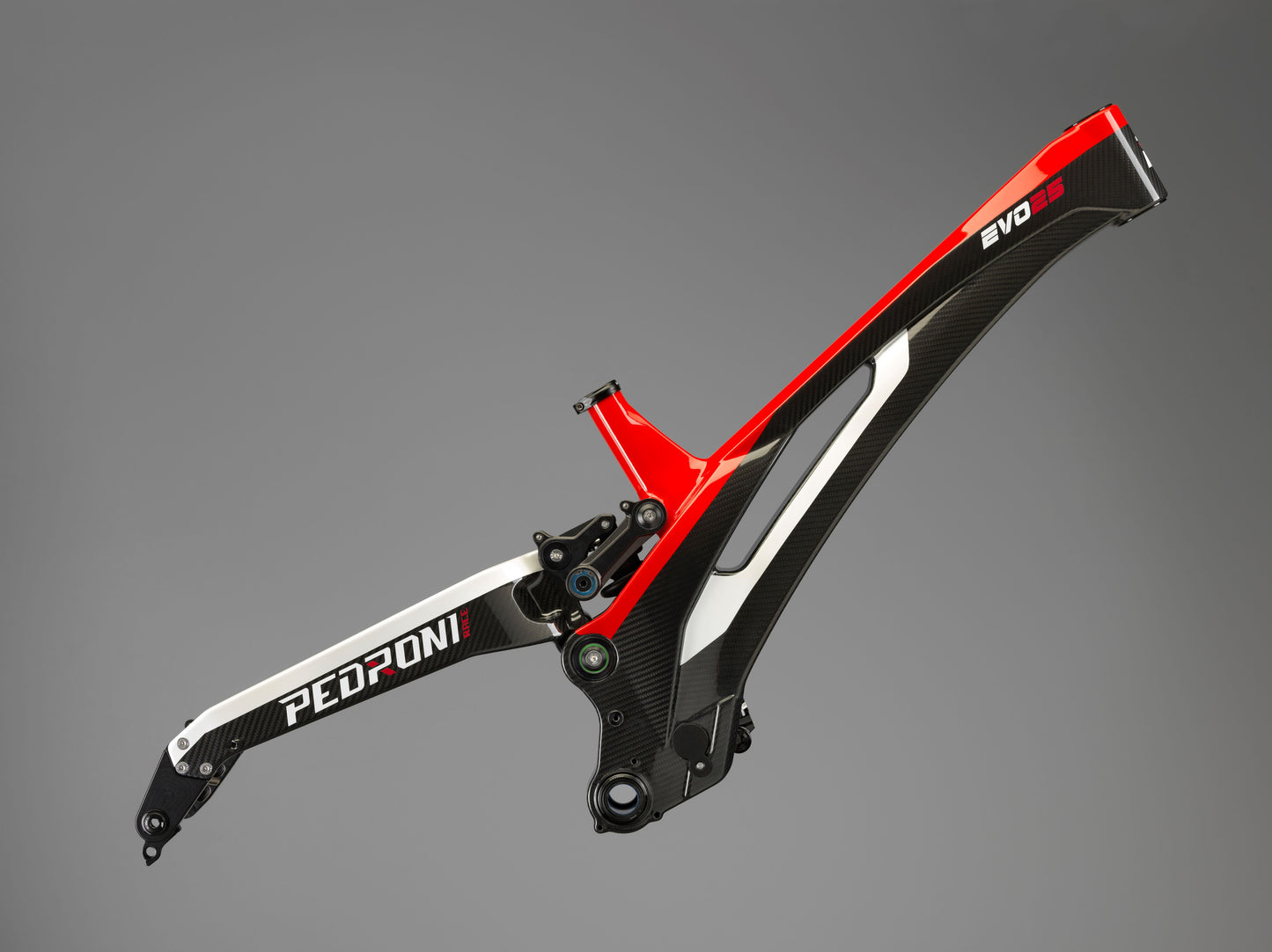 Downhill EVO25