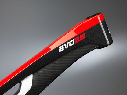 Downhill EVO25